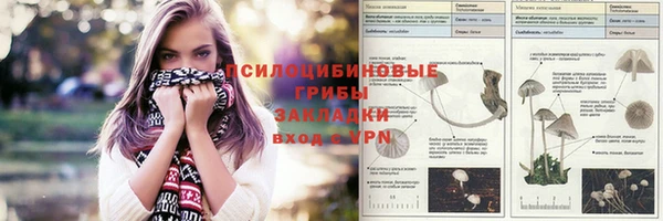 дживик Богданович