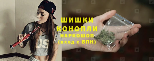 mix Богородицк