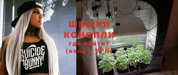 mix Богородицк