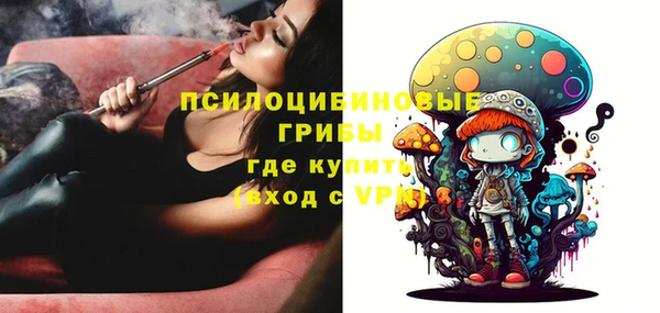 mix Богородицк